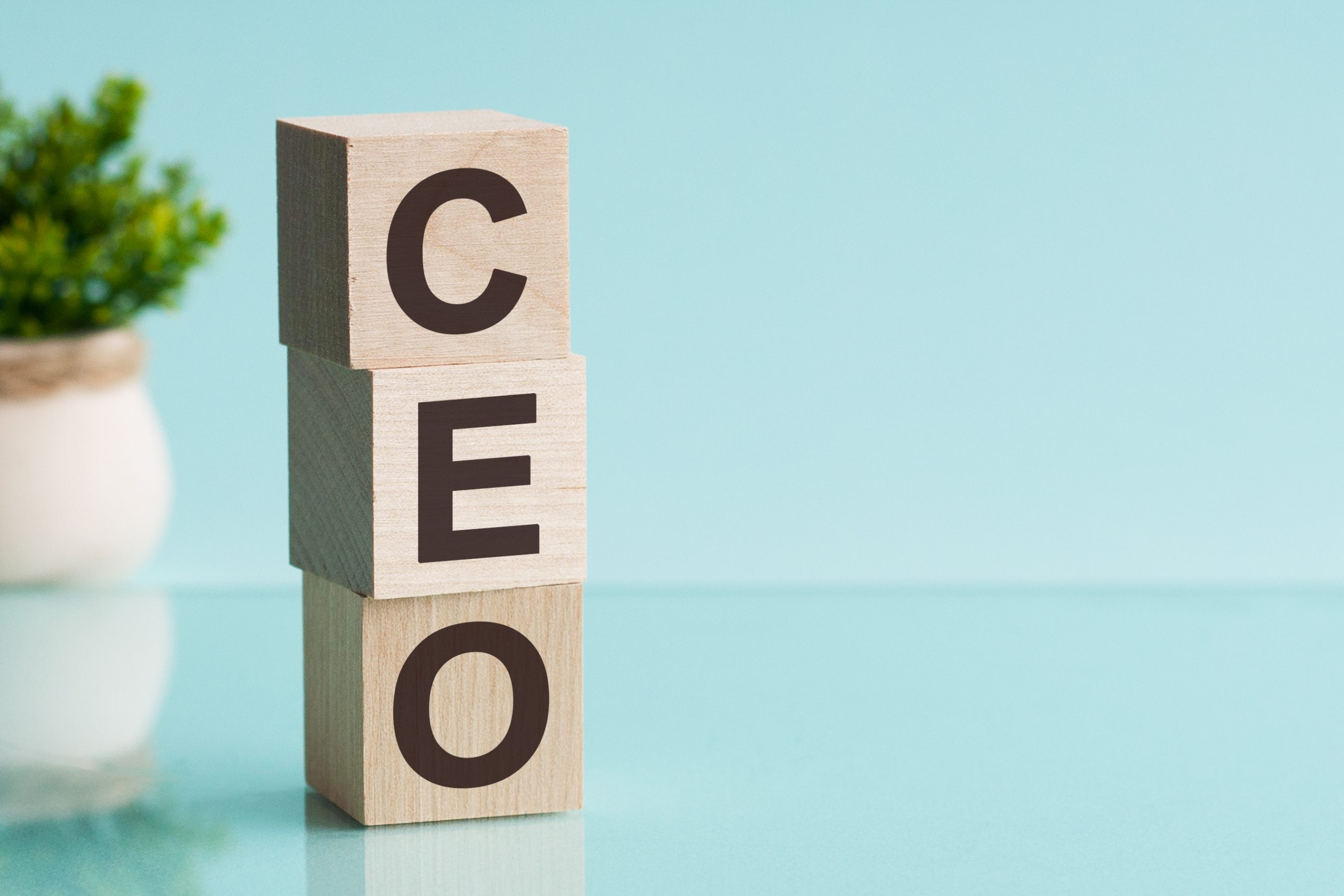 LARRY FINK'S 2022 LETTER TO CEOS The Power of Capitalism Pension
